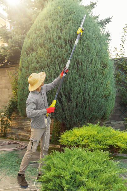 Best Weed Control  in Carbondale, IL